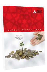 Thumbnail - Annual Report 2013