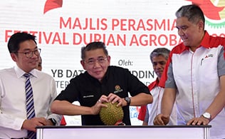 Gallery - Agrobank Durian Festival