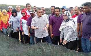 Gallery - Majlis Perasmian Projek Kluster Nanas Lestari (KNAL) Tanah Abang, Mersing